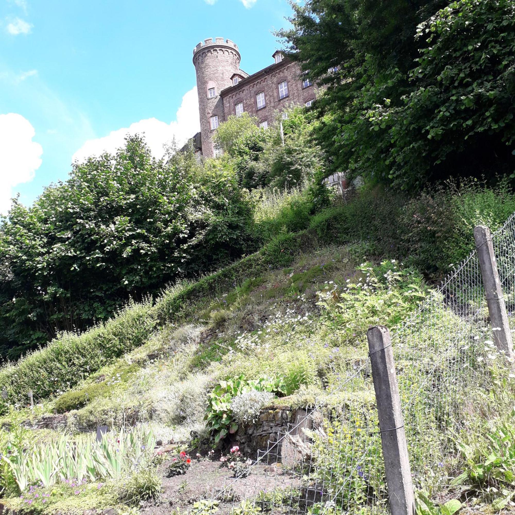 Geraeumiges Ferienhaus Beverungen Esterno foto